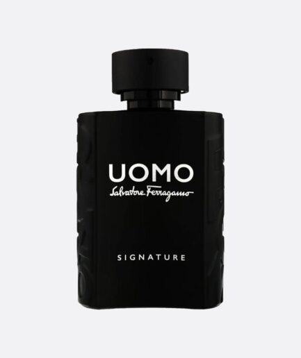 Salvatore Ferragamo Uomo Signature 100ml